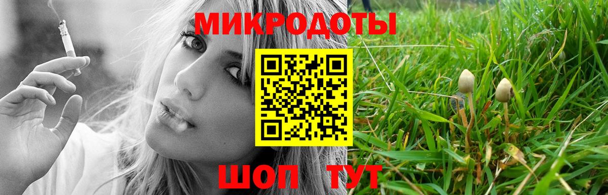 Псилоцибиновые грибы MAGIC MUSHROOMS  Вход с VPN  Чернушка  Галлюциногенные грибы прущие грибы 